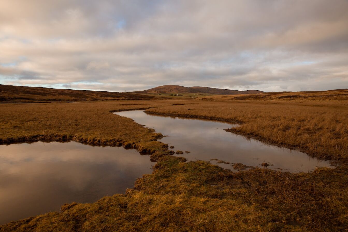 The saltmarsh at the back of Waulkmill beach