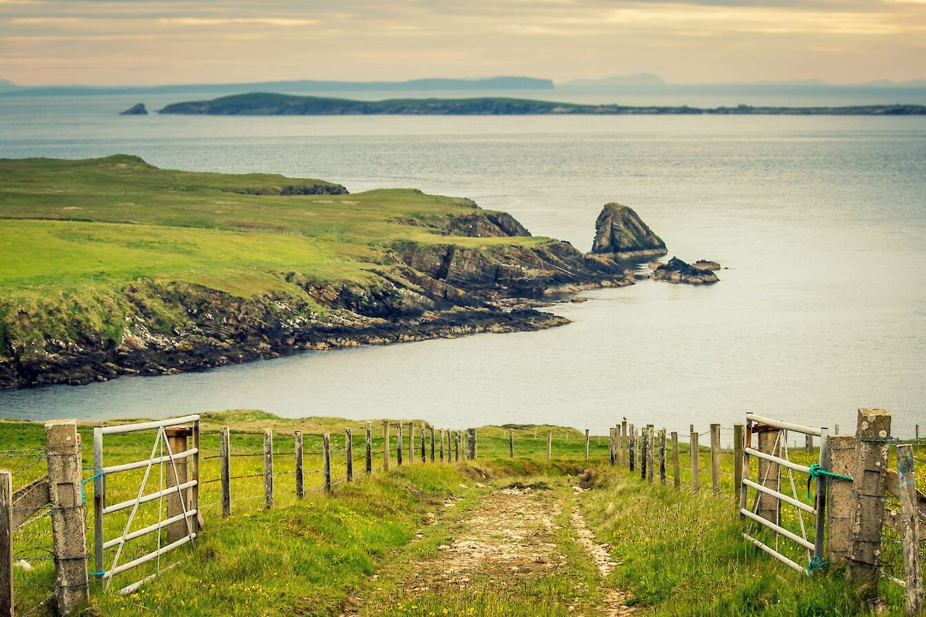 The road to Greenvale in South Ronaldsay - image by Kim McEwan