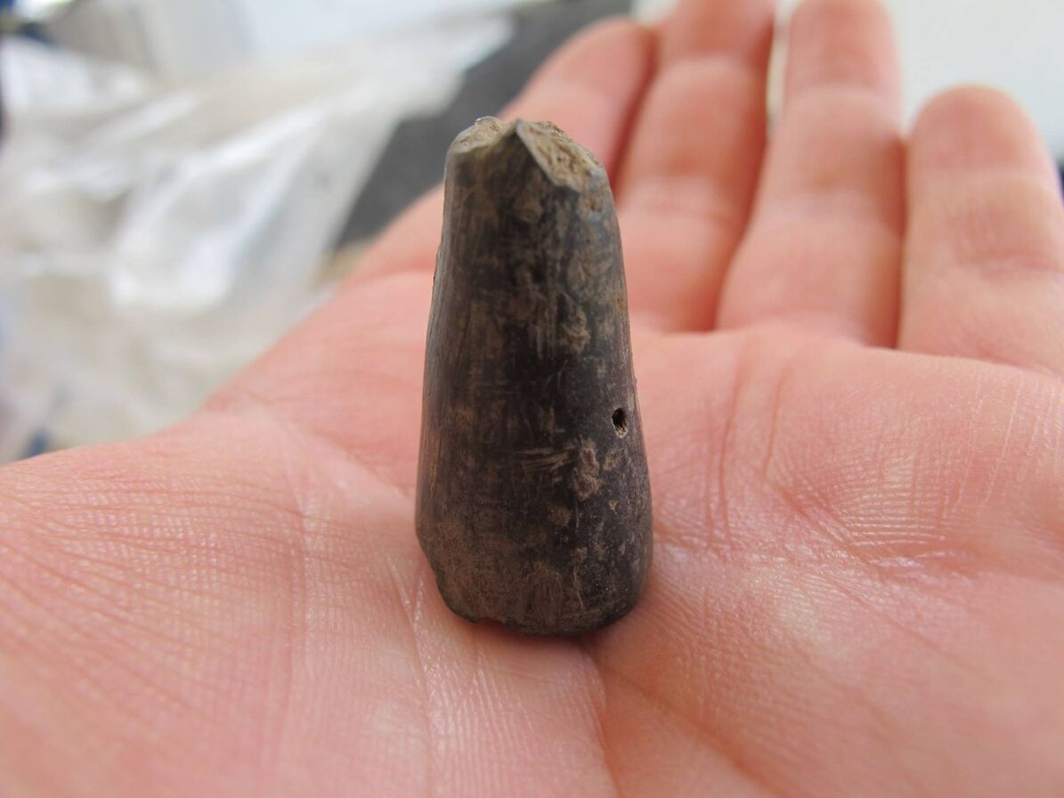 A carved object found at the Cairns