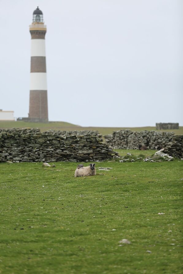 The view towards the island's lighthouse, the tallest land-based lighthouse in the UK