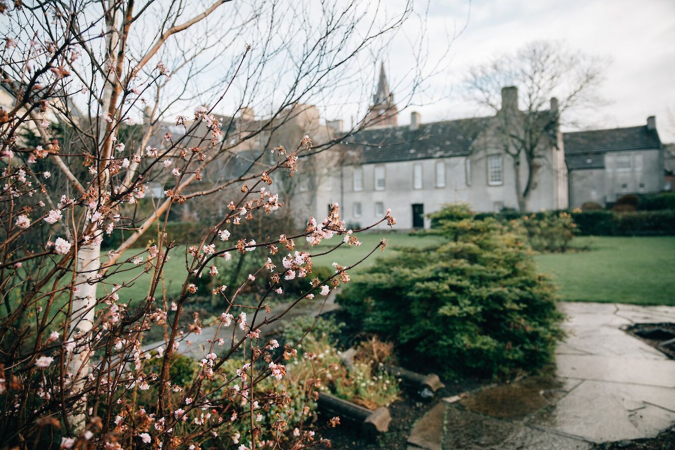 Tankerness House Gardens