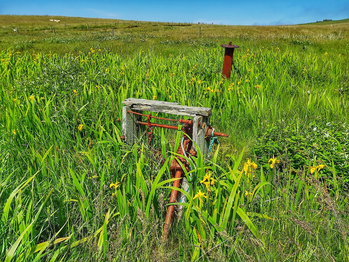 Boat winches abandoned near the shore in Graemsay - image by Susanne Arbuckle