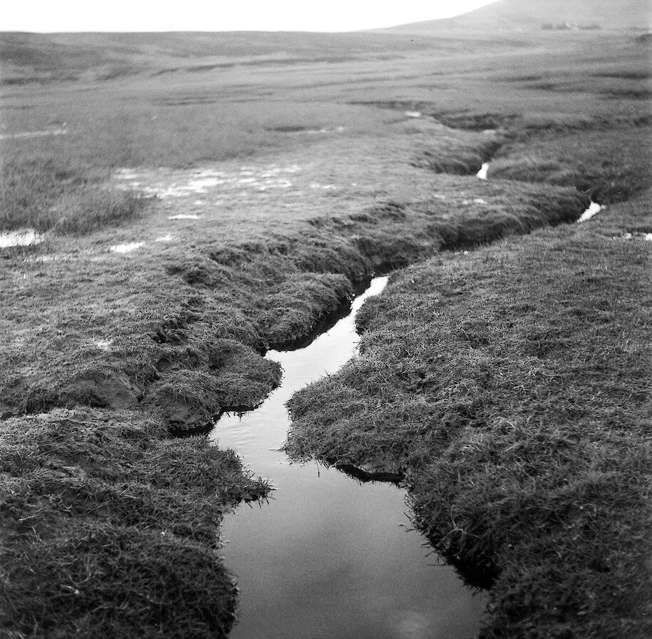 Marshland, Waulkmill Bay - image by Sarah Wylie