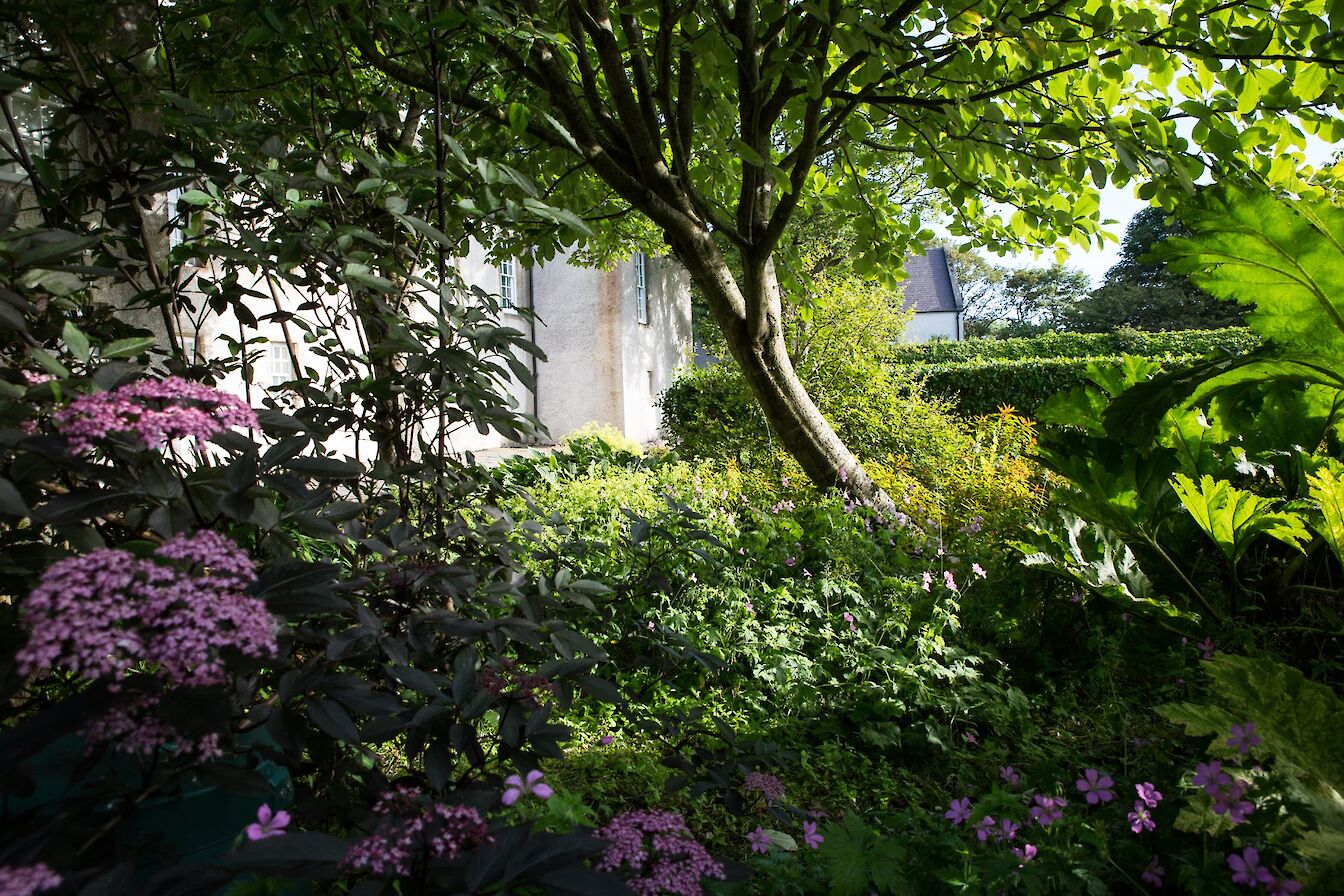 View of Tankerness House Gardens