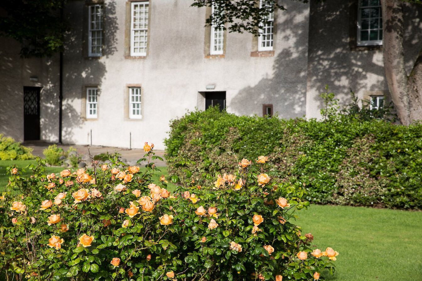 View of Tankerness House Gardens