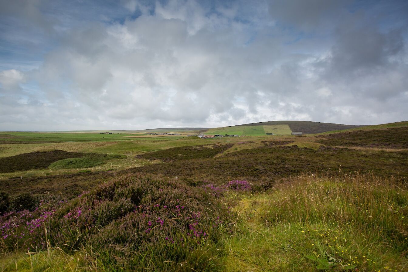 Walk to the Knowes of Trotty, Orkney