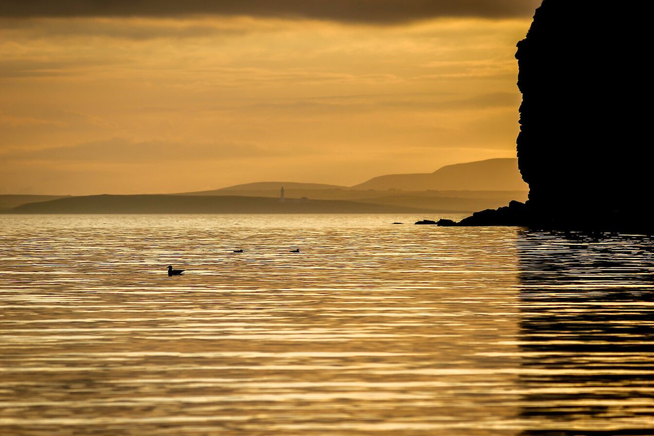 View towards Cantick Head - image by Kim McEwen