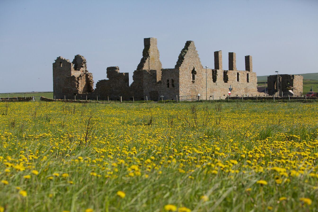 Earl's Palace, Birsay, Orkney - image by Colin Keldie