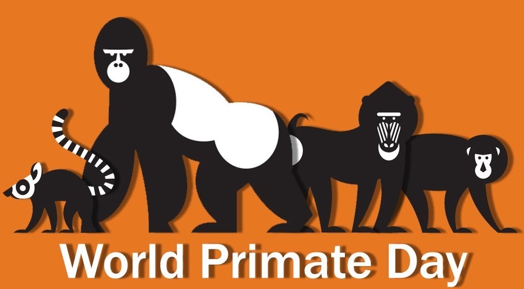 World Primate Day at Fernvalley Wildlife Centre and Tearoom | Orkney.com