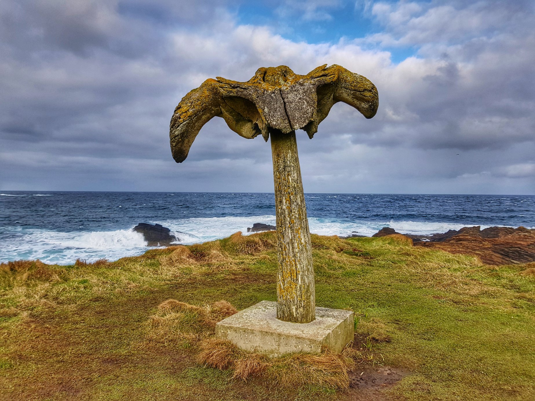The mystery of the Birsay whalebone