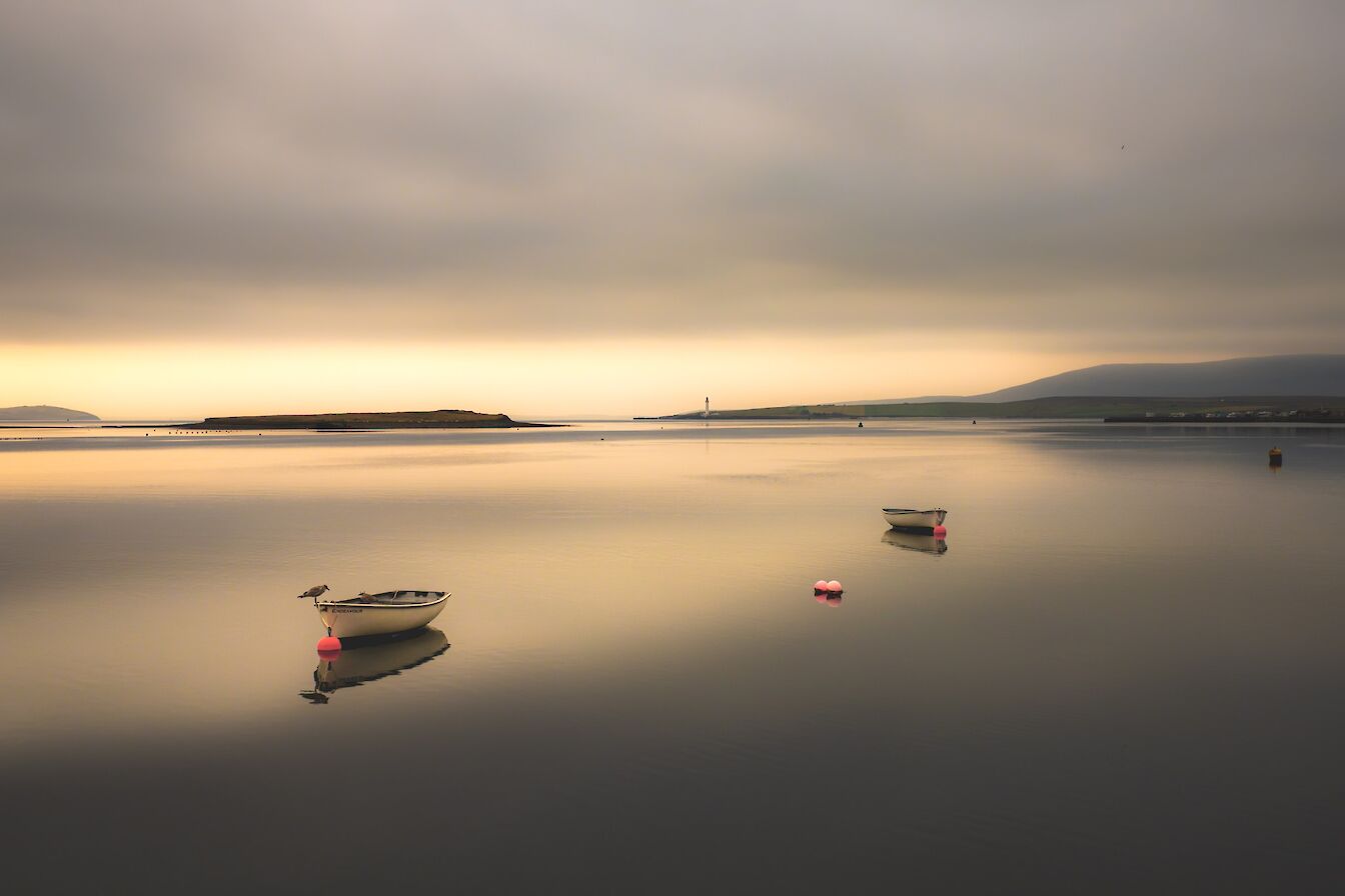 Stromness harbour, Orkney - image by Ally Velzian