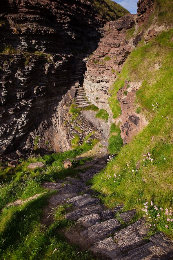 The Brough of Deerness, Orkney