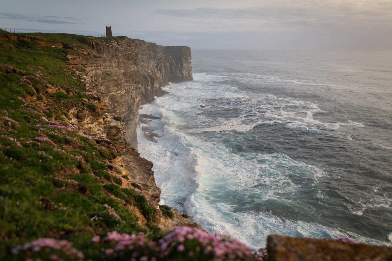 Marwick Head, Orkney