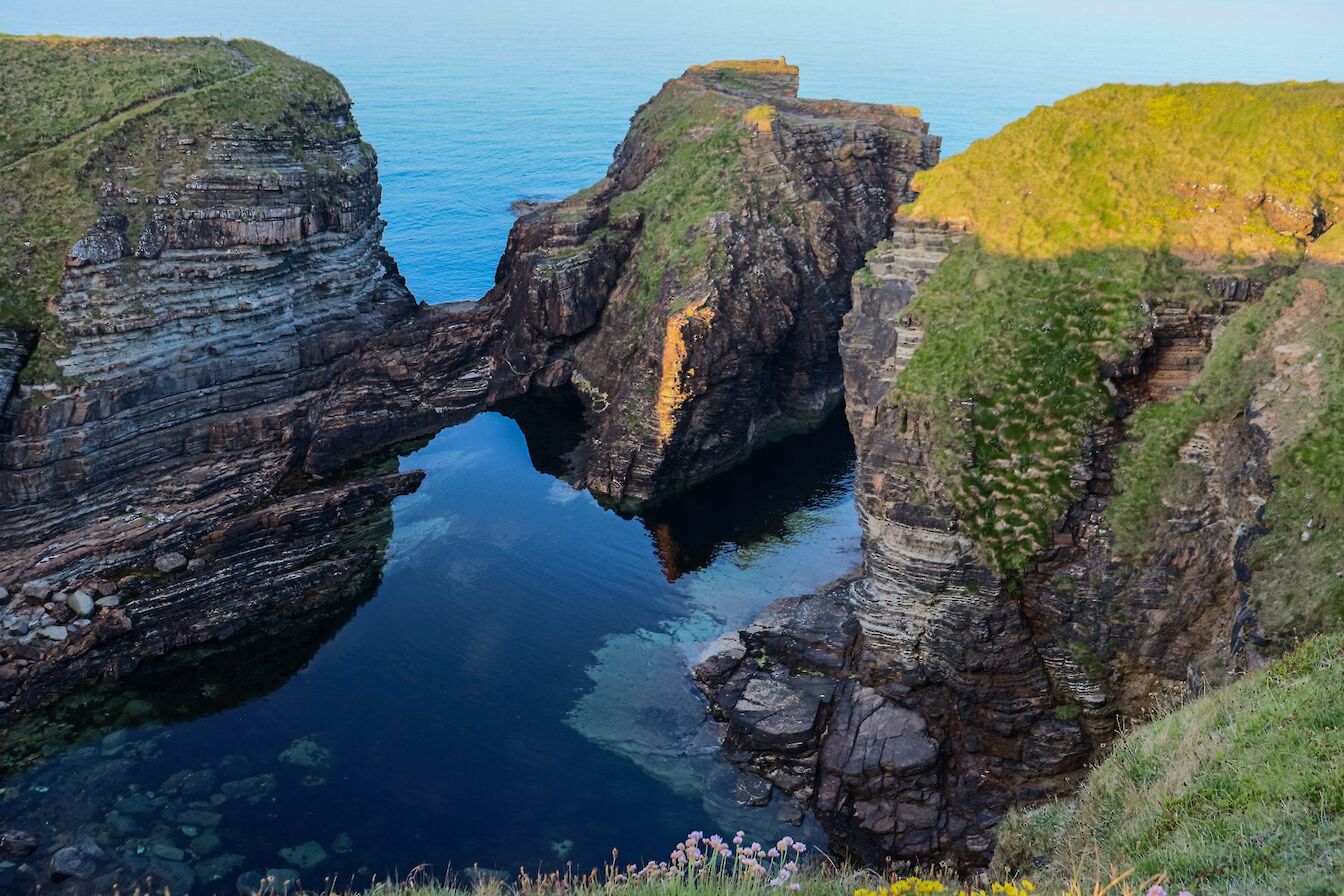 Brough of Deerness, Orkney - image by Jenna Harper