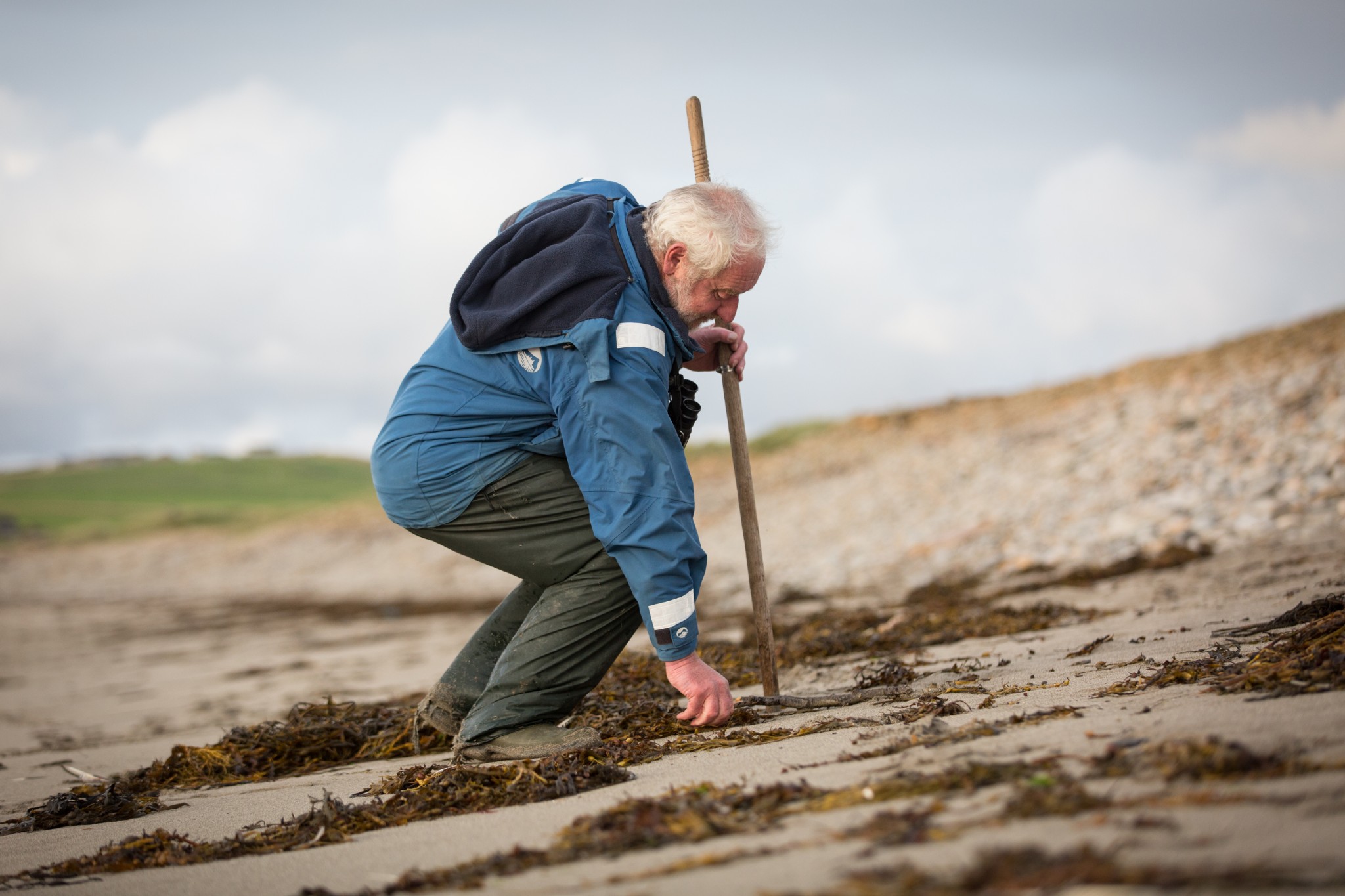 Beachcombing