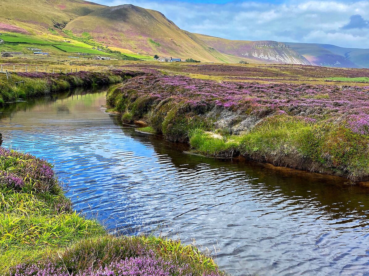 Rackwick burn, Orkney - image by Alan Mackinnon