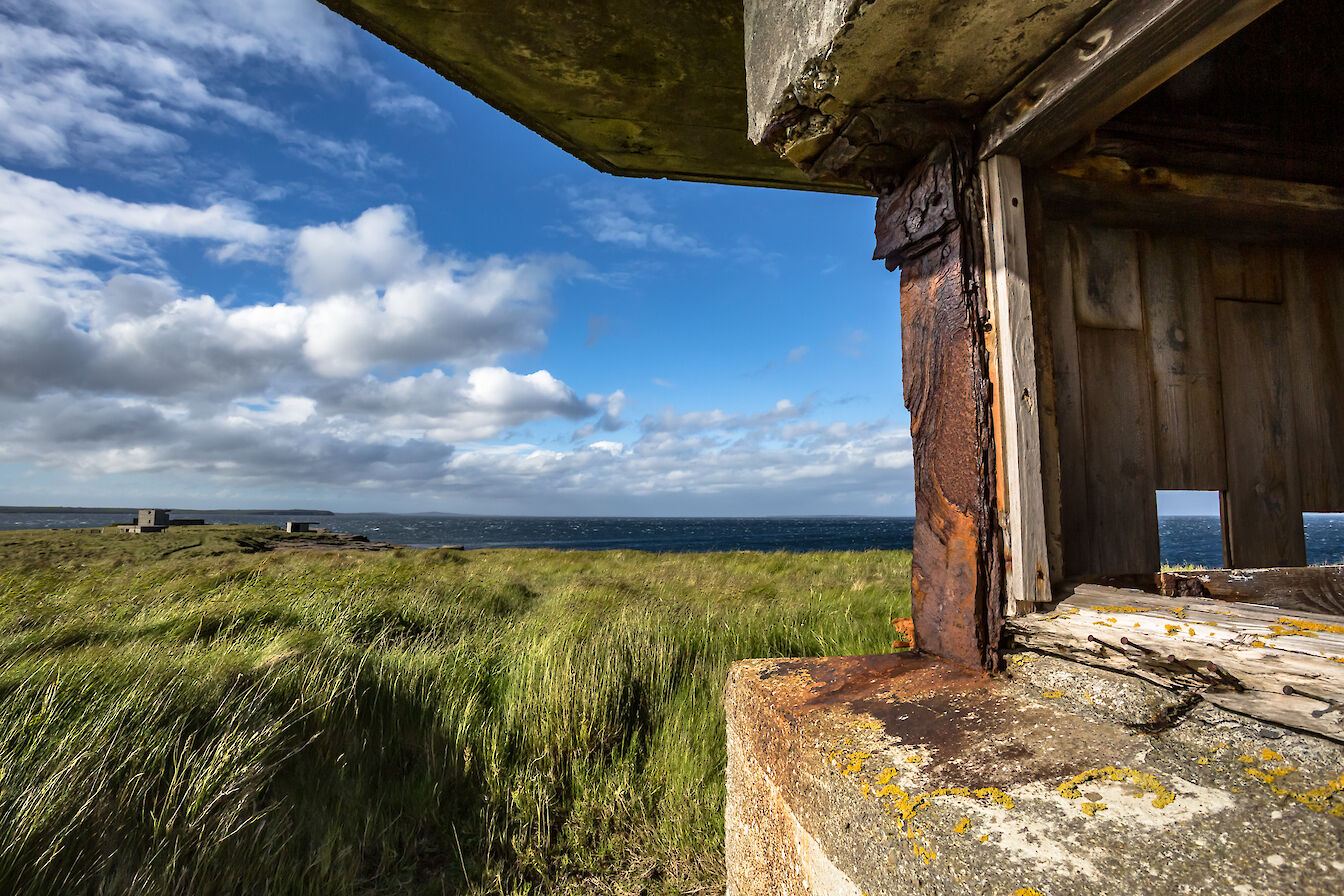 Rerwick Head, Orkney - image by Dawn Underhill