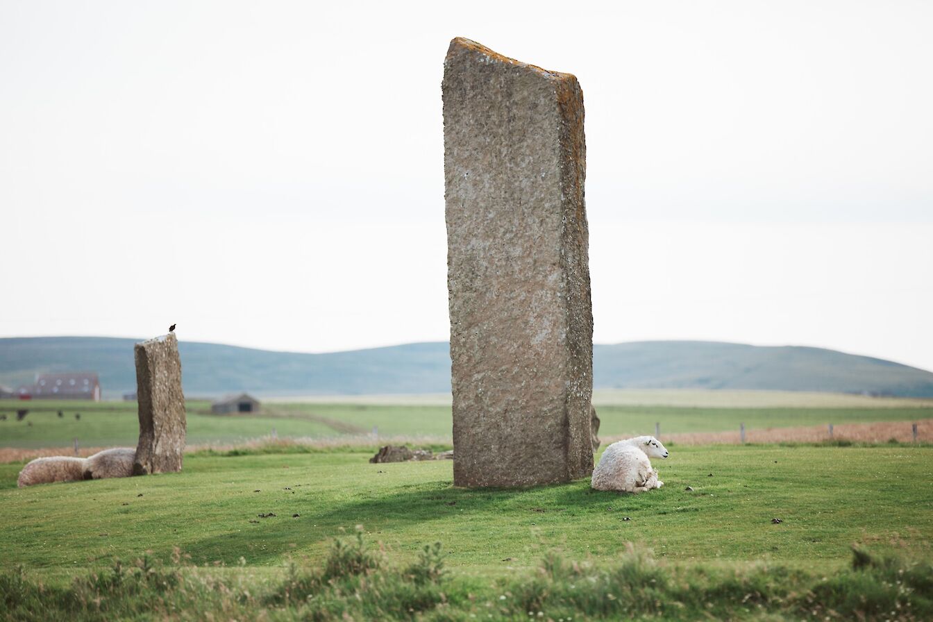 The Standing Stones of Stenness, Orkney