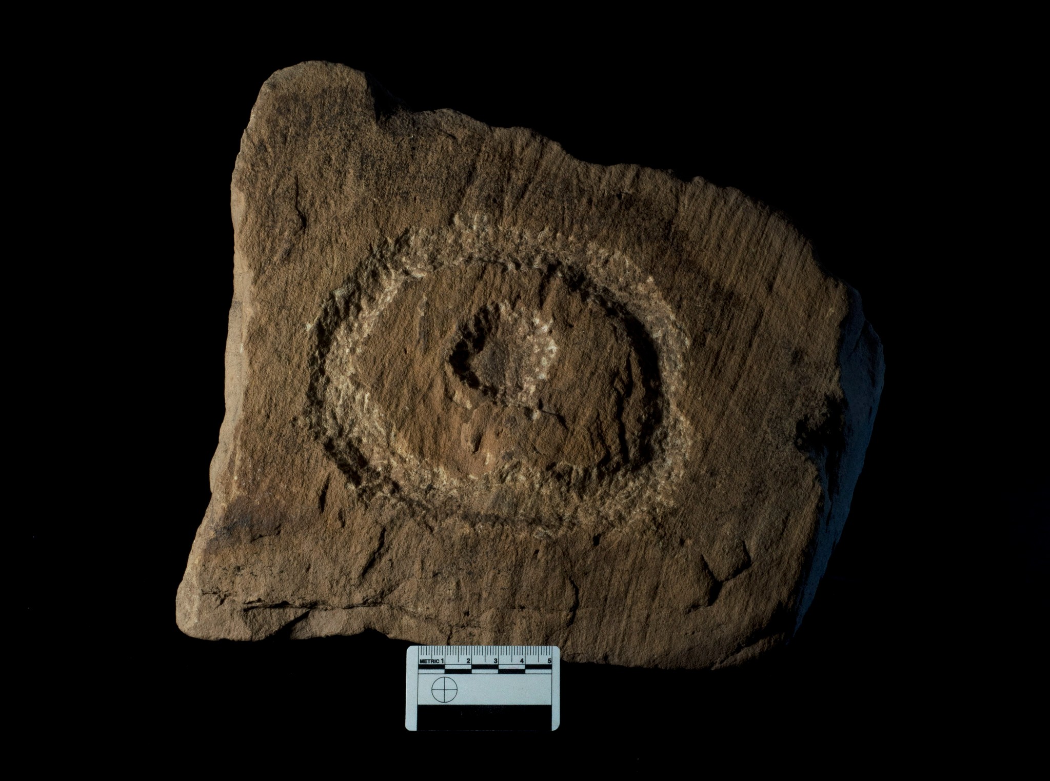 Cup and ring decorated stone - image by Antonia Thomas