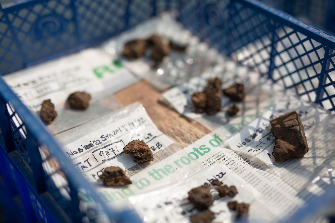 Some of the finds at the Ness of Brodgar this season