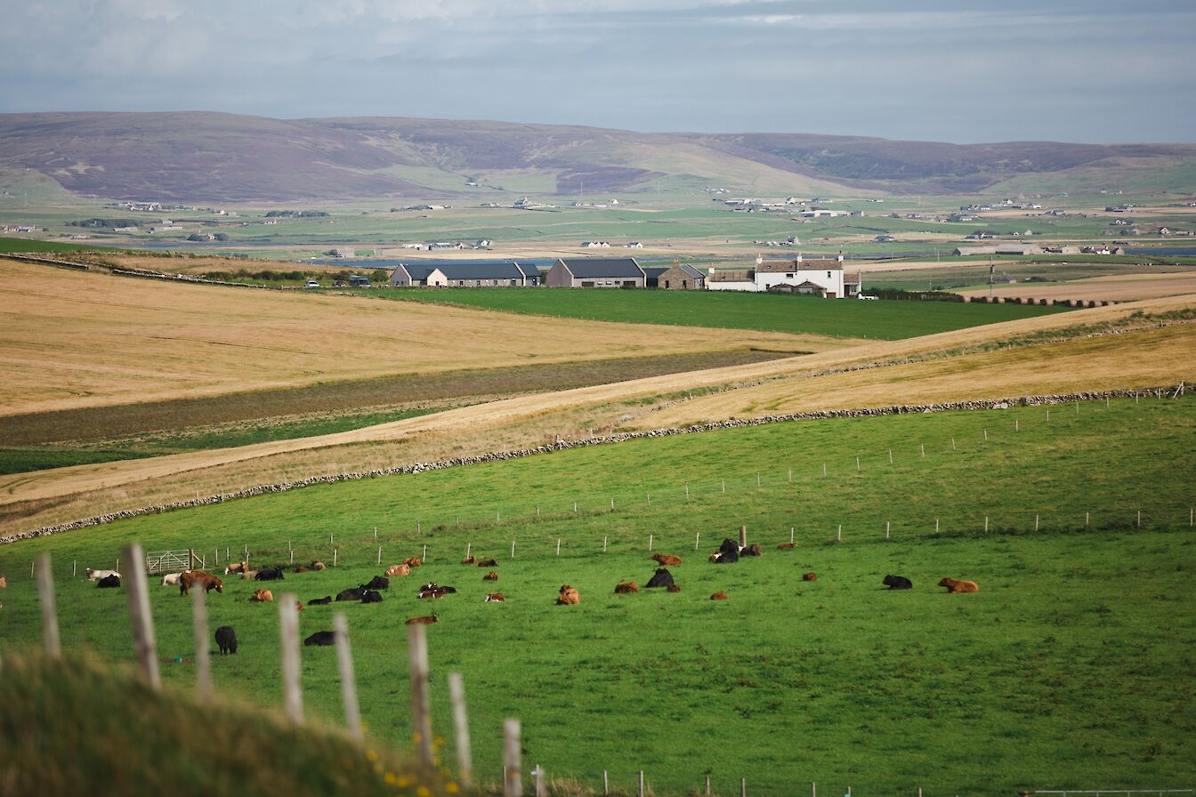 View towards the Kristin Linklater Voice Centre in Orkney's west mainland