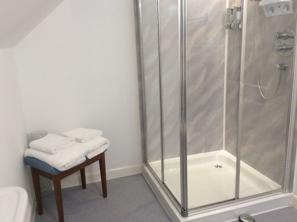 Ensuite shower room