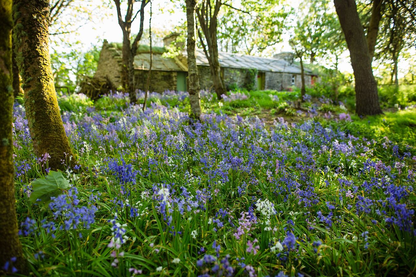 Happy Valley, Orkney