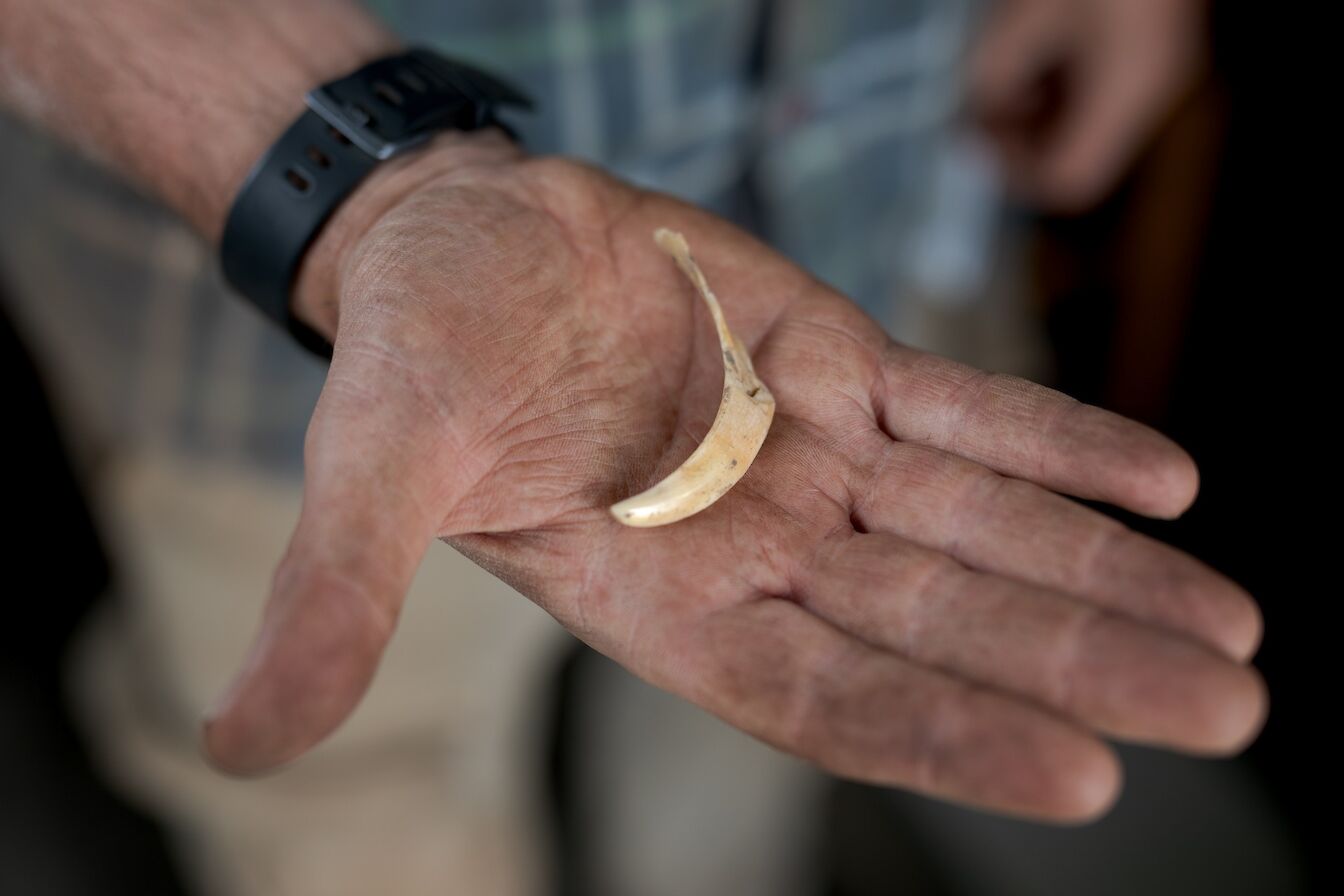 Some of the finds from the 2023 excavation at The Cairns, Orkney