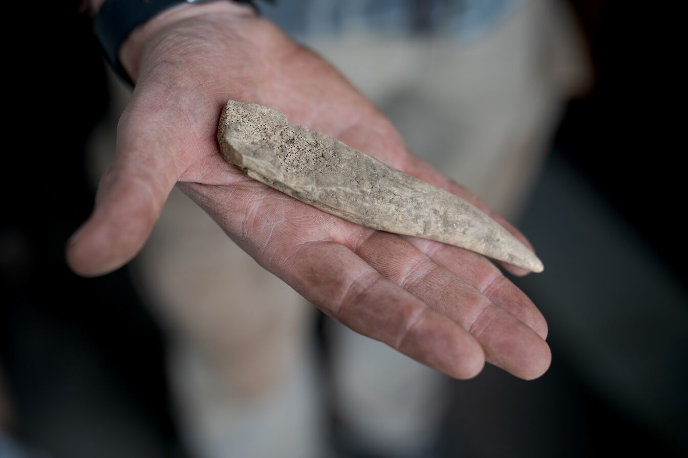 Some of the finds from the 2023 excavation at The Cairns, Orkney