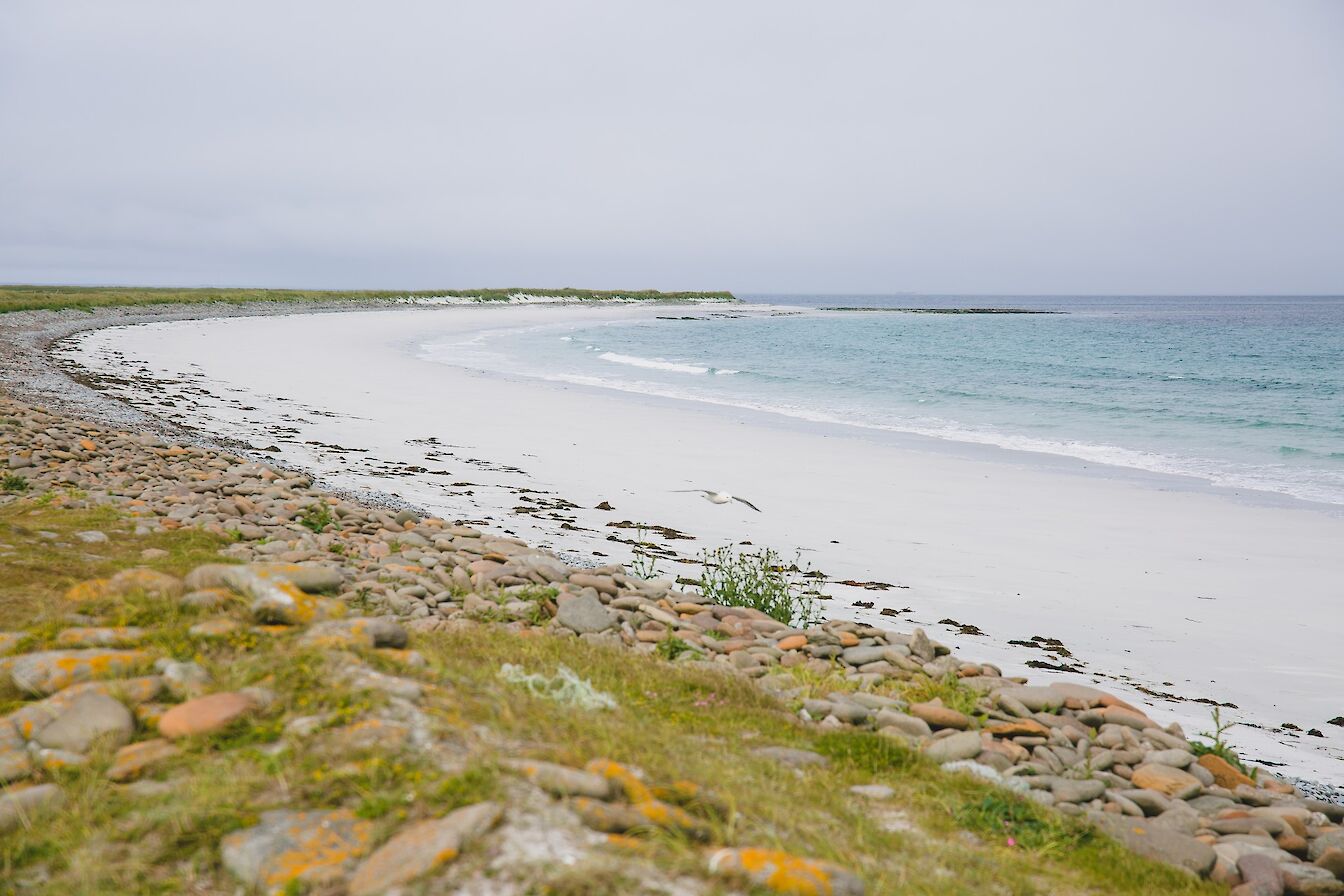 View over Whitemill Bay, Sanday, Orkney