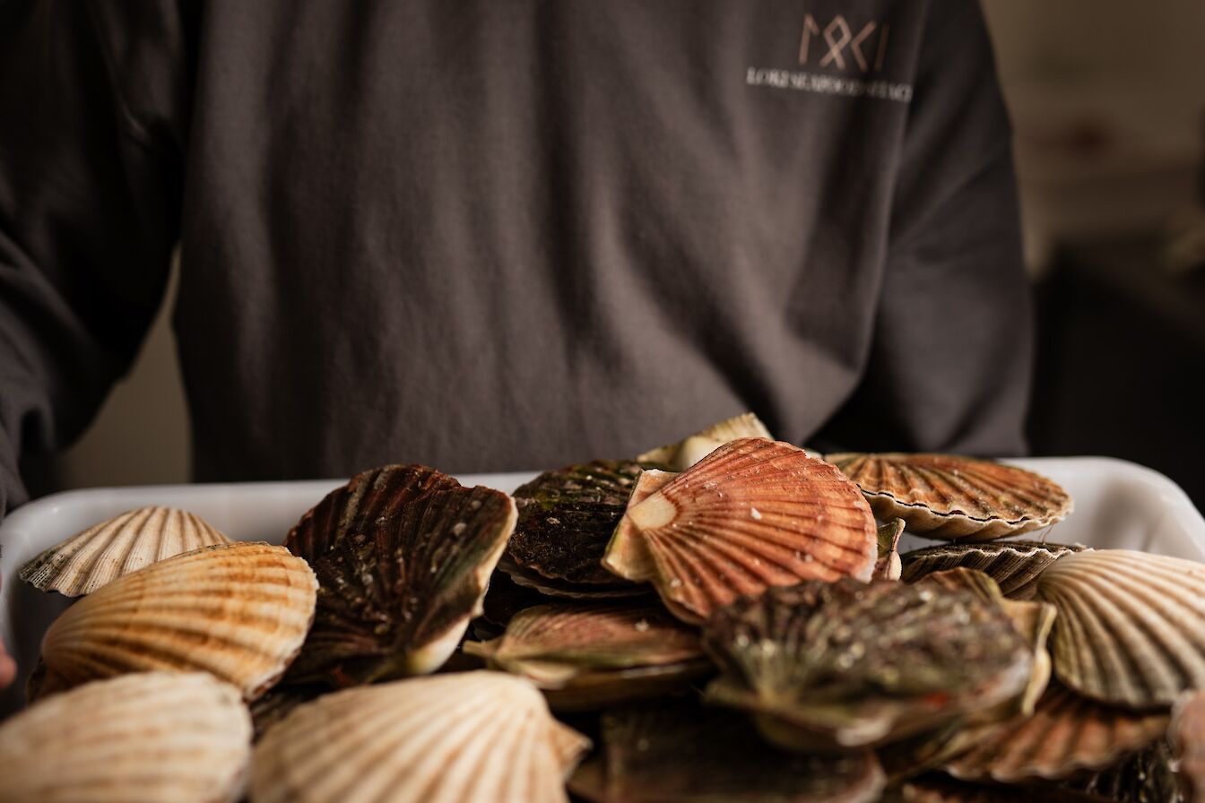 Fresh scallops at Loki Seafood Shack, Orkney