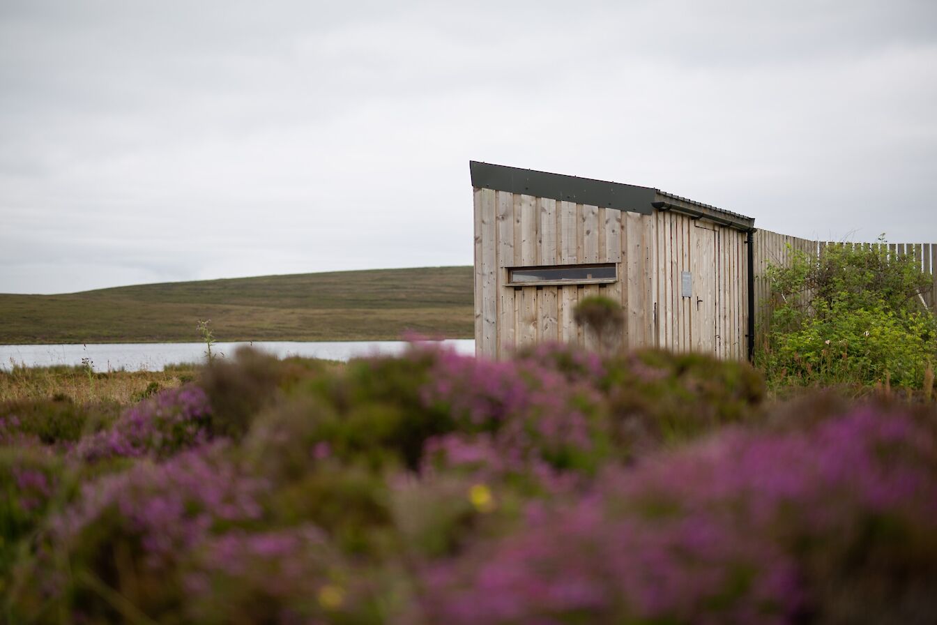 Mill Loch hide, Eday, Orkney