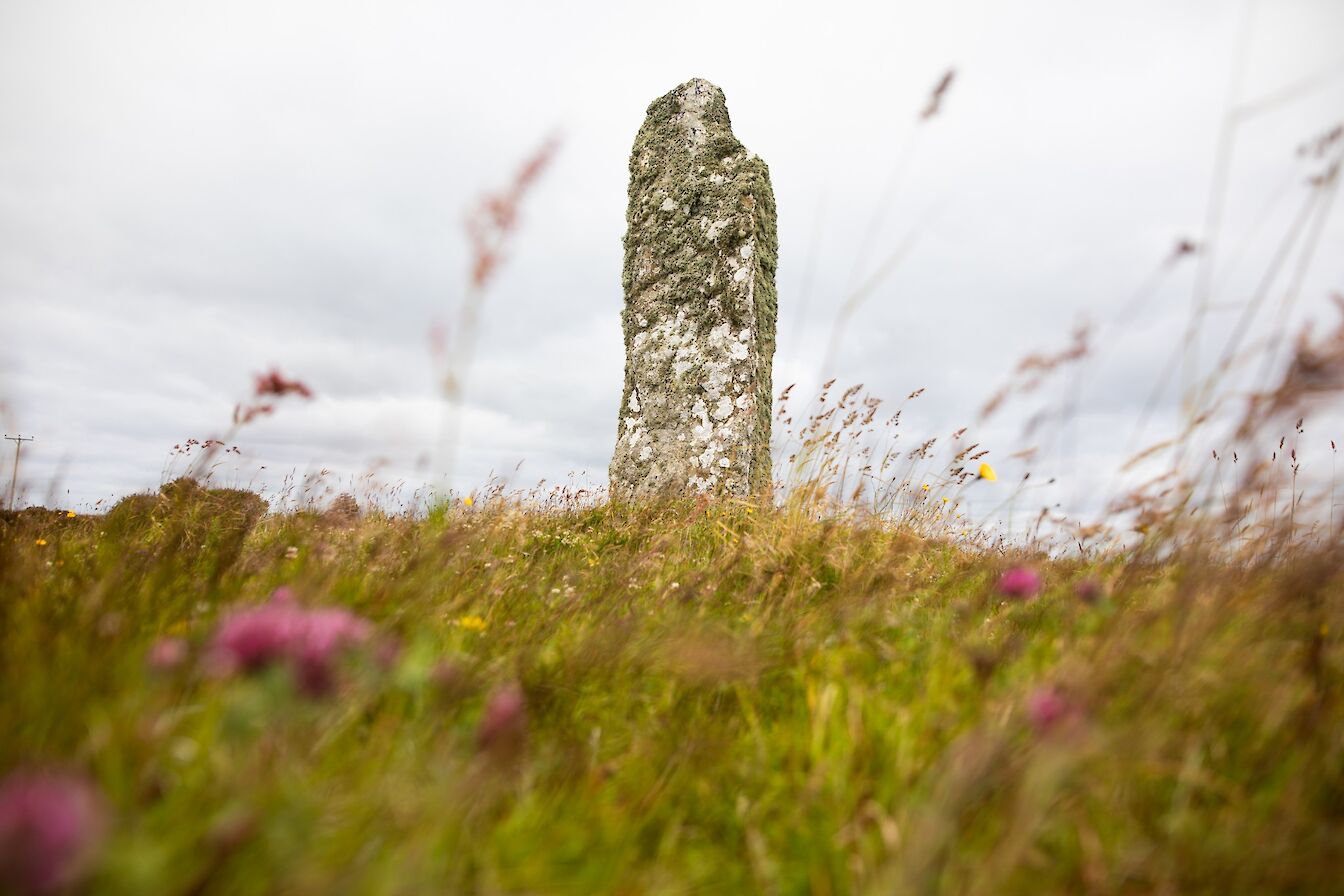 Mor Stein, Shapinsay, Orkney