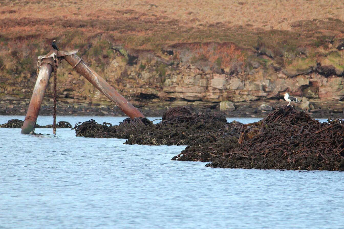 Boom defence nets, Flotta, Orkney