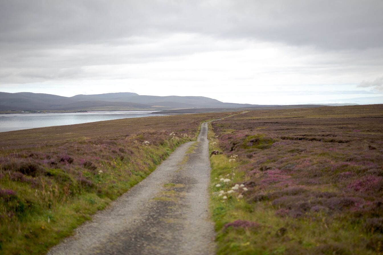 Coastal road, Flotta, Orkney