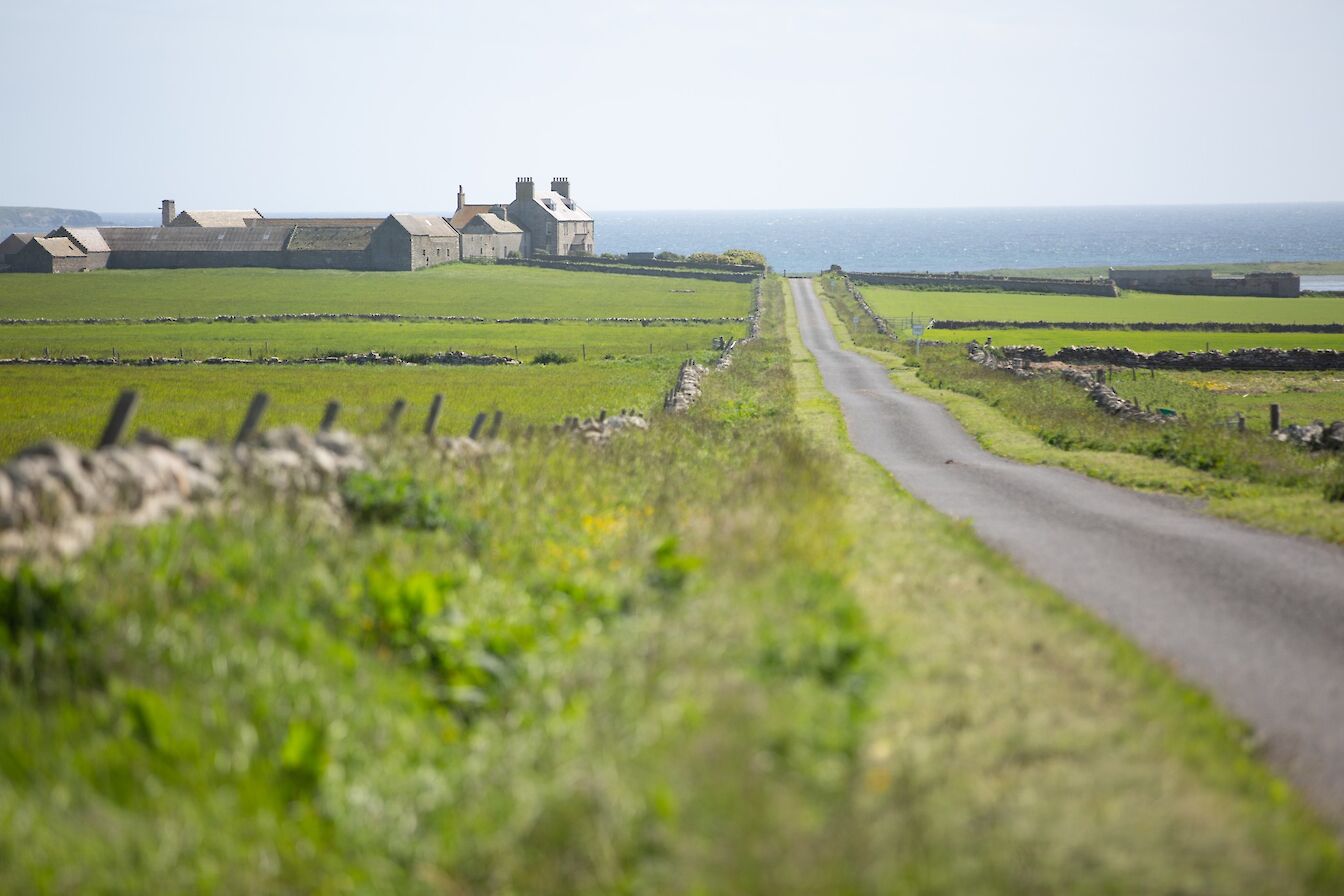 Road view, Stronsay, Orkney