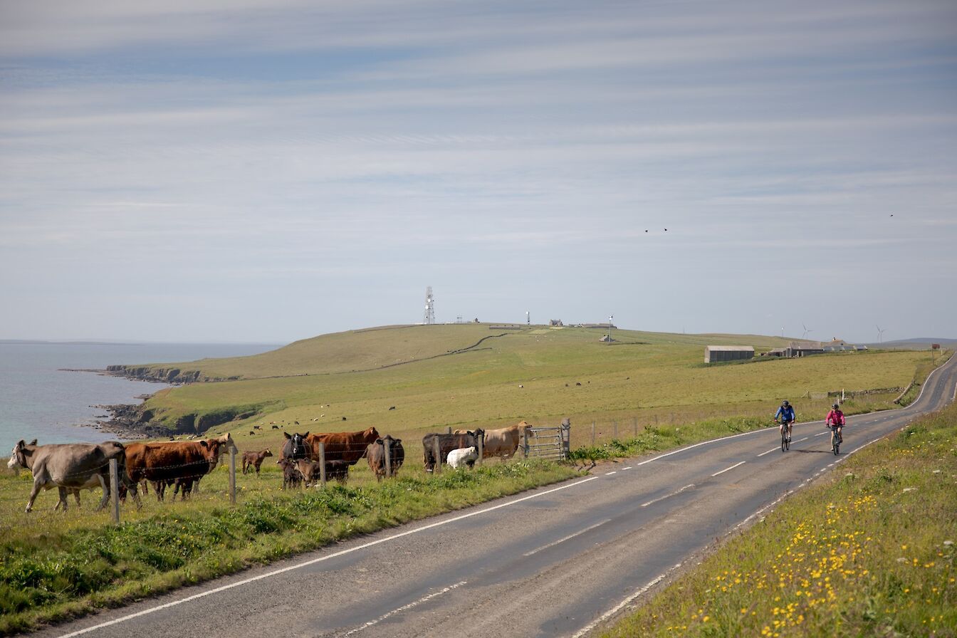 Cycling in Sanday, Orkney