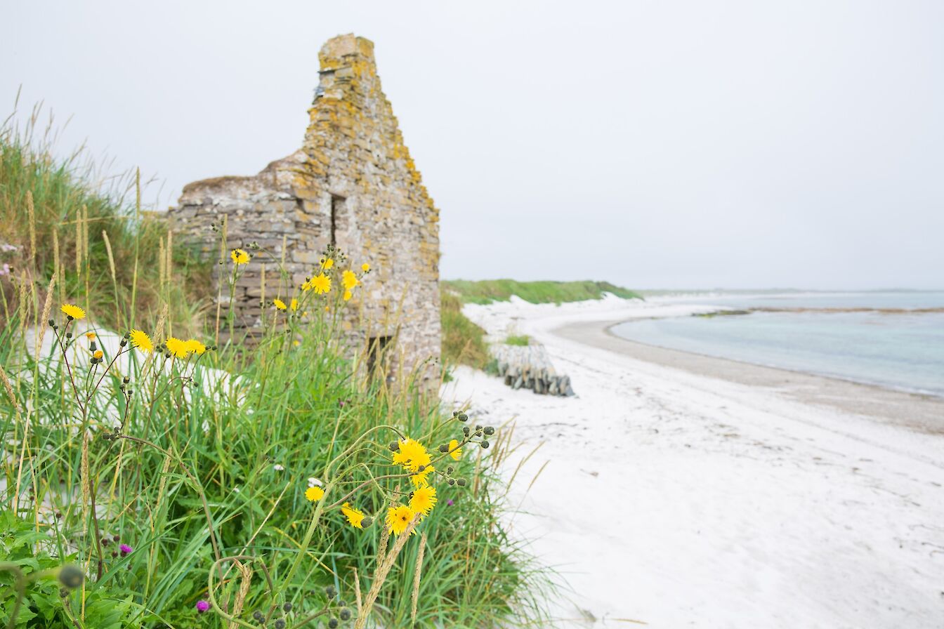 Otterswick, Sanday, Orkney