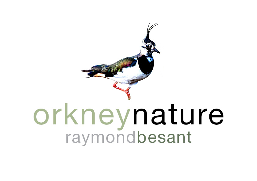 Orkney Nature Logo