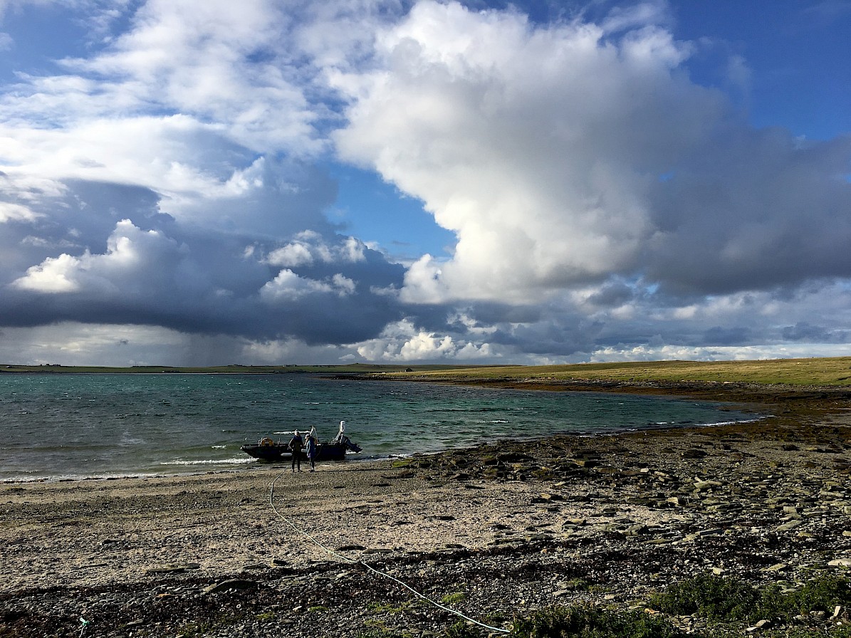 Holm of Papay - Boat Trips, Orkney