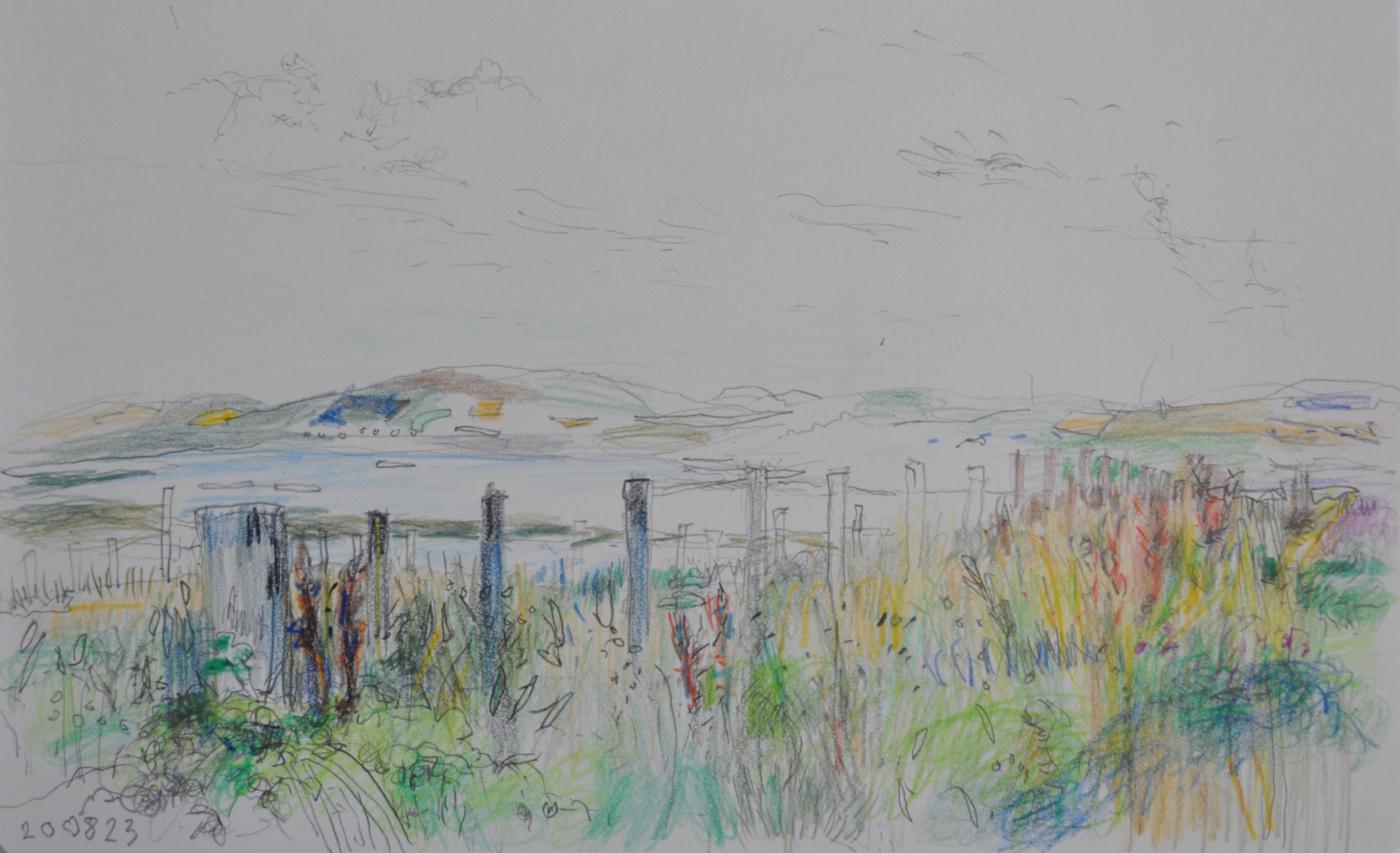 Drawing by Marion Ashburn