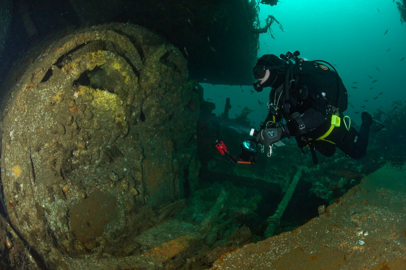 Diving in Orkney - image by Matt Doggett