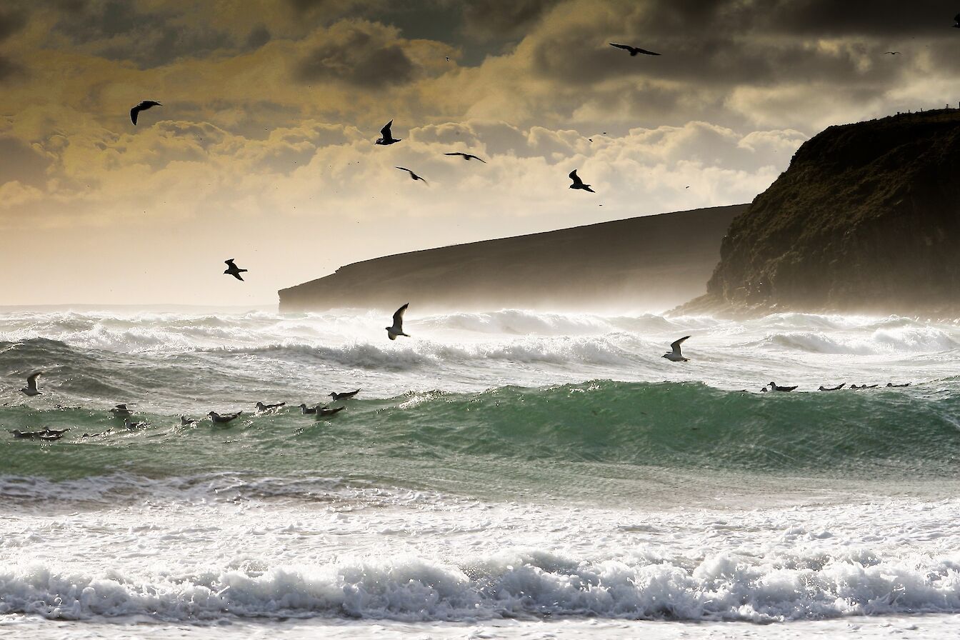 Rough seas at Dingieshowe, Orkney