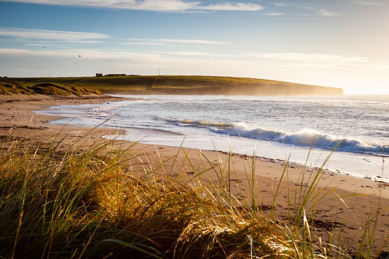 View over Dingieshowe, Orkney - image by Premysl Fojtu