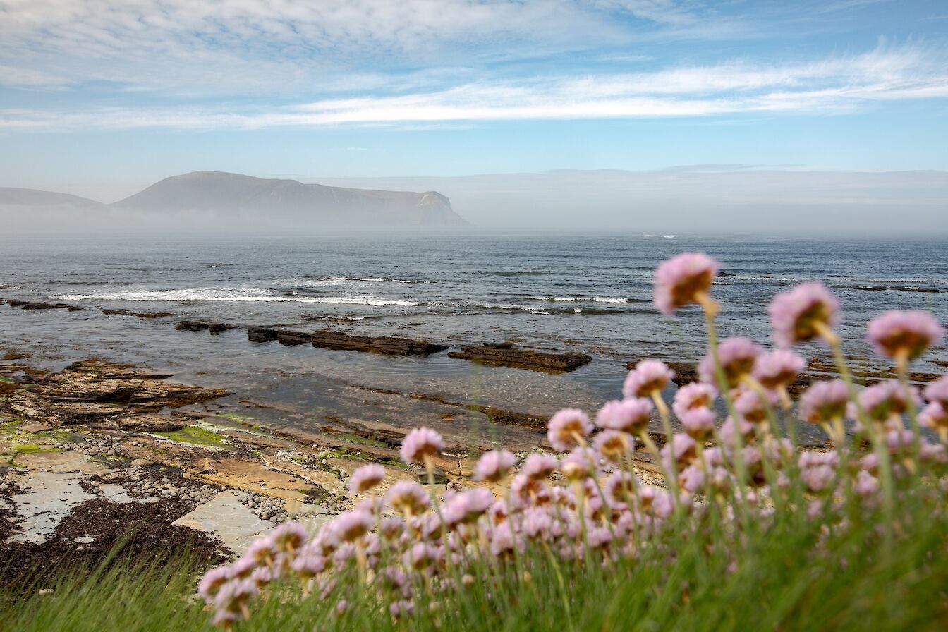 View from Warebeth, Orkney
