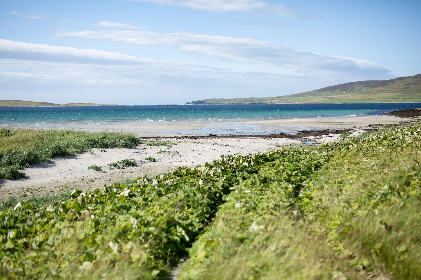 View over Sands of Evie, Orkney