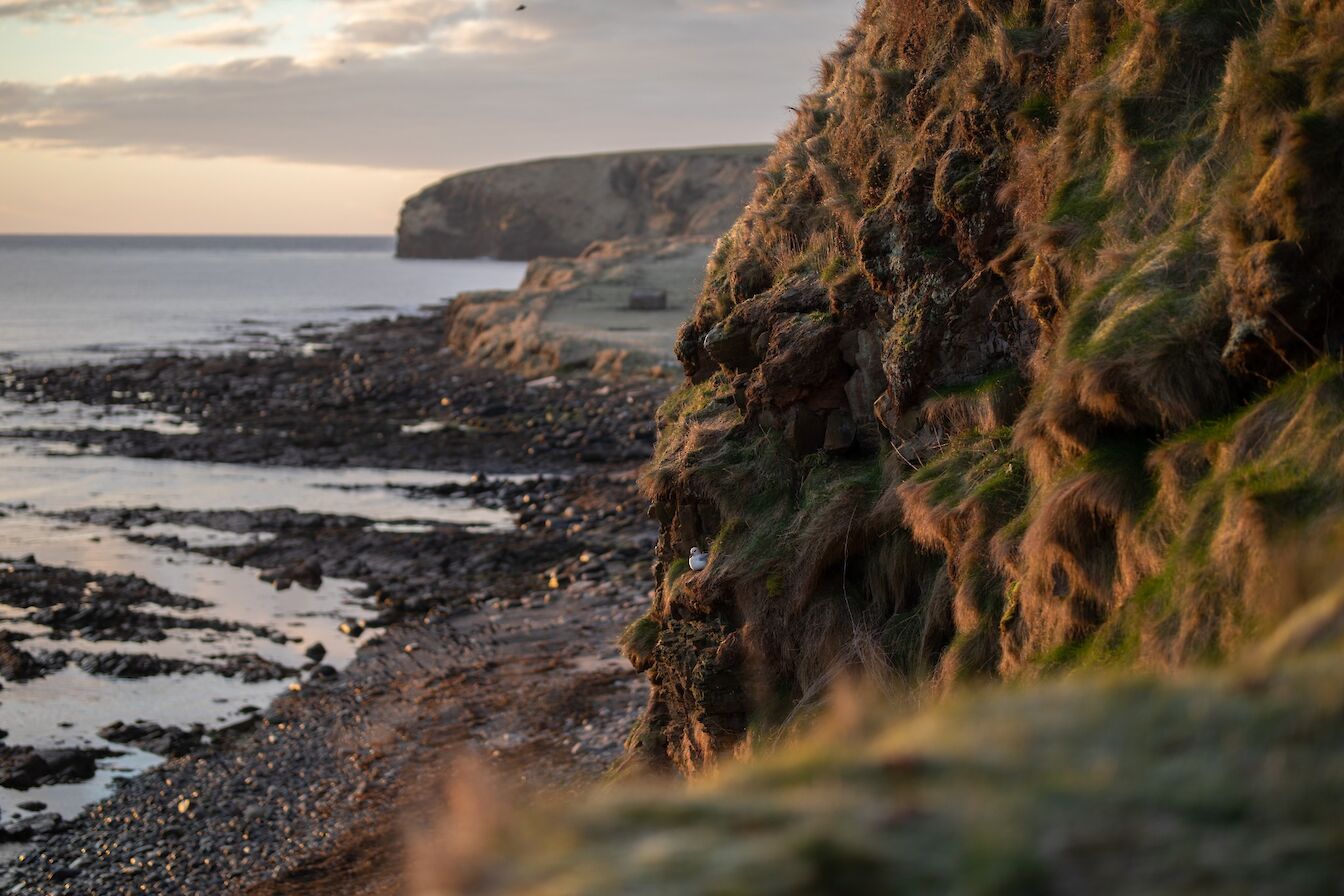 Windwick, South Ronaldsay, Orkney